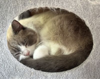 Mary's profile picture