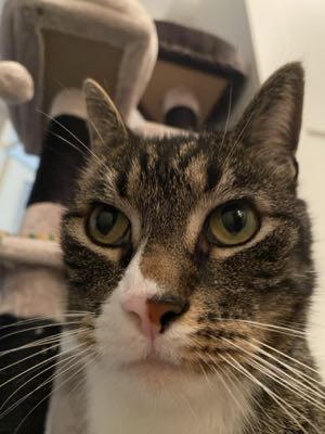 Kimberley's profile picture