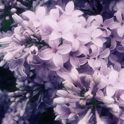 Kait's profile picture