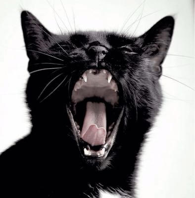 heeeeiidiii's profile picture